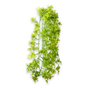 Climber - Climber Ivy 70 cm