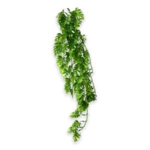 Climber - Climber Philo 70 cm