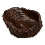 Drinking Bowl - Image 6