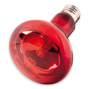 Infrared Halogen Spotlight Eco, 70 W