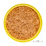 JBL PRONOVO BETTA INSECT STICK - Image 3