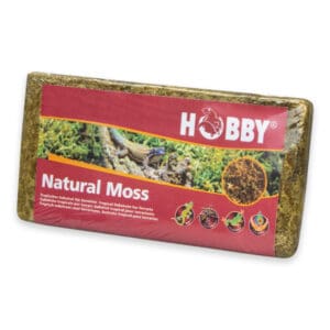 Natural Moss 100 G