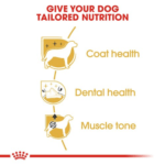 Breed Health Nutrition Poodle Adult 7.5kg - Image 3