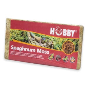 Spaghnum Moss 100 G