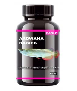 horizon-eagle-arowana-babies-100ml Horizone Eagle Arowana Babies - 100Ml - Image 1