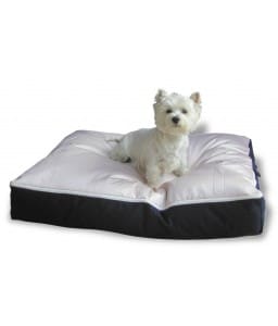 pooch-pad-dog-bed-large- Pooch Pad Dog Beds