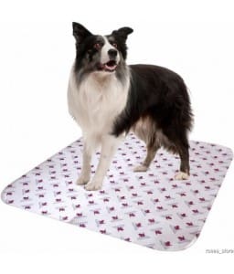 pooch-pad-for-mature-dogs-extra-absorbent-large Pooch Pad For Mature Dogs - Extra Absorbent Large - Image 1