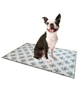 pooch-pad-indoor-turf-dog-potty-replacement-pad Pooch Pad Indoor Turf Dog Potty Replacement Pad - Image 1