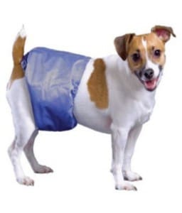 pooch-pad-poochpants-male-wrap-xl-29-35 Pooch Pad Poochpants Male Wrap XL 29 – 35″ – 58 – 71cm, L - Image 1