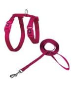 DOCO   Signature Cat Harness + Leash (DCAT201+1072) - Image 4