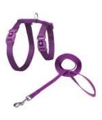 DOCO   Signature Cat Harness + Leash (DCAT201+1072)