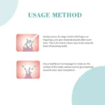 Bioline Toothbrush Set 4Pcs - Image 3