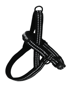 Norwegian Harness