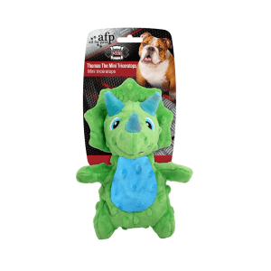 My T-Rex - - Thomas the Mini Triceratops