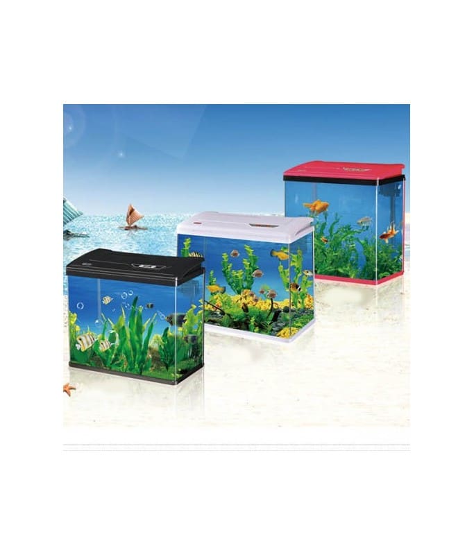 AQKARISPY-800 Karis PY-Series Aquarium- Mixed Colors -DIS – 790 x 340 x 600mm - Image 1