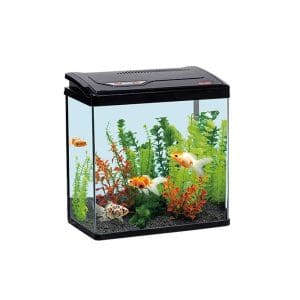 Karis PY-Series Aquarium 480 x 260 x 450mm[Color - Blue]