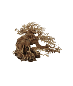 Natural Color Aquarium Decorative Natural Bonsai Driftwood Tree- 15-20Cm (Pc)