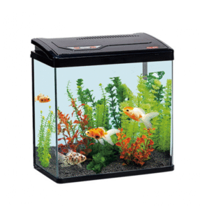 Karis PY-Series Aquarium 285 x 180 x 300mm[Color - Black]