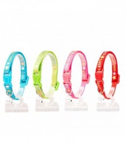duvo-cat-collar-nylon-mixed-colors-20-30cm-10mm (1) Duvo Cat Collar Nylon Mixed Colors 20 – 30cm / 10mm – Cool Cats - Image 1