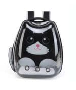 Pado Kitty- Carry - Image 3