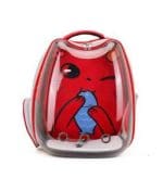 Pado Kitty- Carry - Image 4