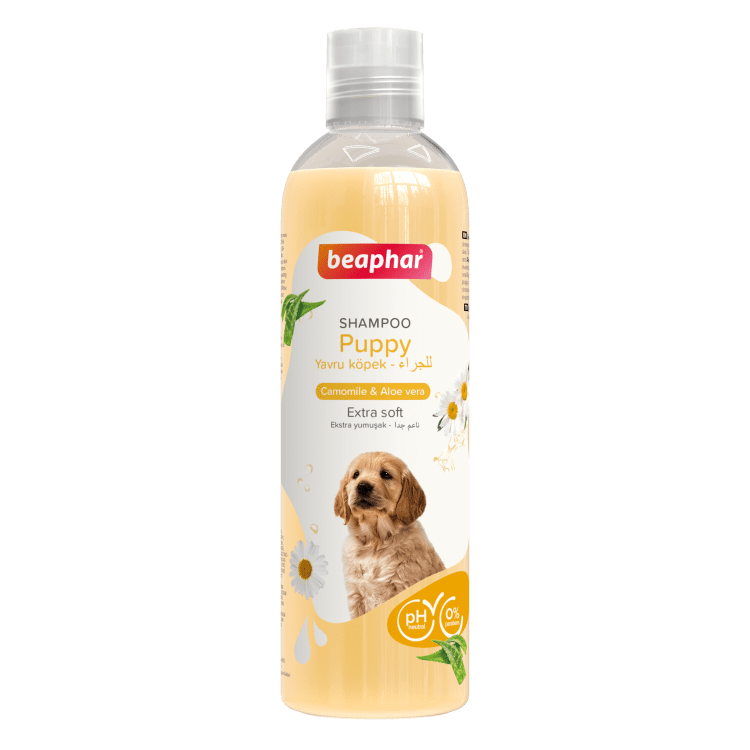 BE16977 Shampoo - Image 1