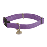 Mylord Leatherette Adjustable Dog Collars on dog - Image 4