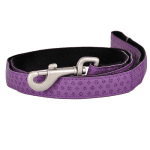 dogs with leash