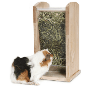 Living World Green Wood & Acrylic Hay Rack, Medium - MEDIUM
