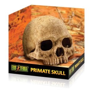 Terrarium Decor - Primate Skull - Primate Skull