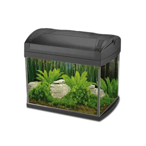 Boyu Aquarium ZJ-Series(Without Cabinet) – 628x370x375mm