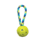 K9 Fitness by