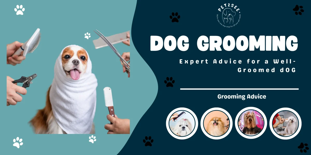 dog grooming