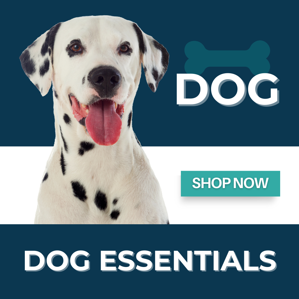 Premium dog food in Dubai