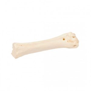 Duvo+ Filled Beef Bone Meats[Flavor - Calcium]