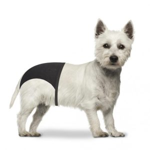 Duvo+ Dog Pants 24-31Cm / 32 - 39Cm  / 40 - 49Cm[Length - 24 - 31Cm]