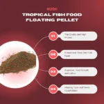 Horizone Nosh Economical Tropical Food - Image 3