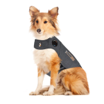 Thunder Shirt