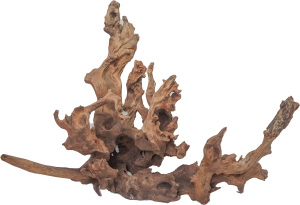MJDR08-001XL Drift Wood - - Image 1