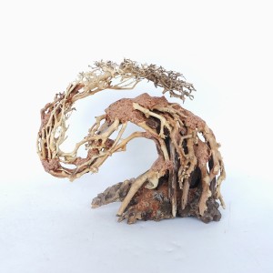 Dragon-like Wood Tree -