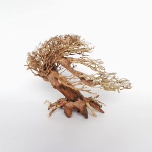 Romantic Bonsai Wood -
