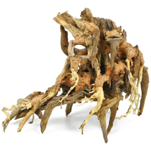 Octopus Wood -