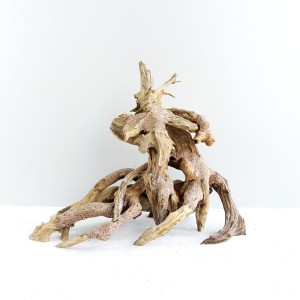 Octopus Wood -
