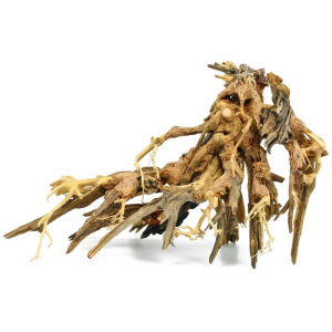 Octopus Wood -