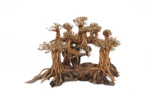 Layout God Of Forest Xlarge, Box