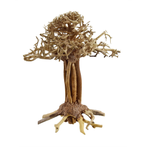 Pagoda Bonsai Wood - - Small / 10x15x10cm / BOX