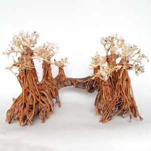 Romantic Bridge Bonsai Wood Medium, 50X40X30 Cm / Box