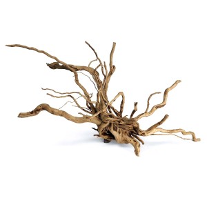 MJDR08-1YM Wood Root - - Image 1