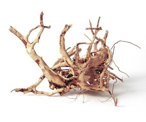 MJDR08-1YS Wood Root - - Image 1