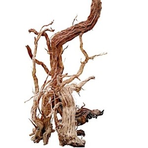 MJDR08-24 Azalea Wood-S Shape / - Image 1